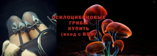 spice Арсеньев