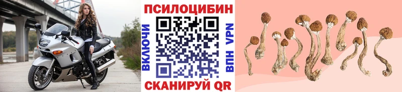 где купить наркотик  Киров  Галлюциногенные грибы мицелий 